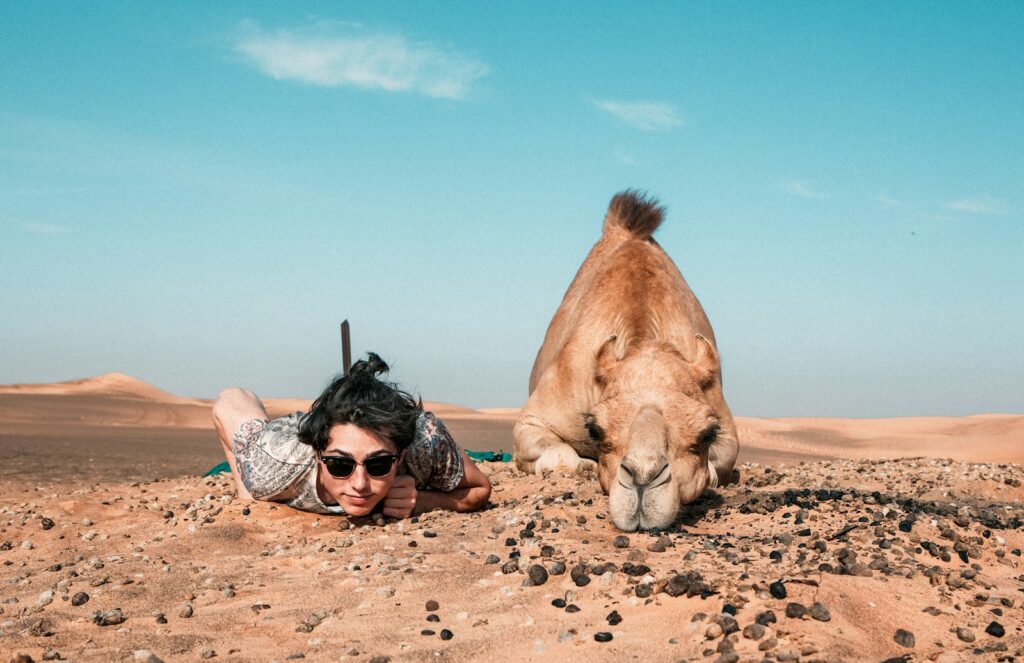 Egypt travel with camels